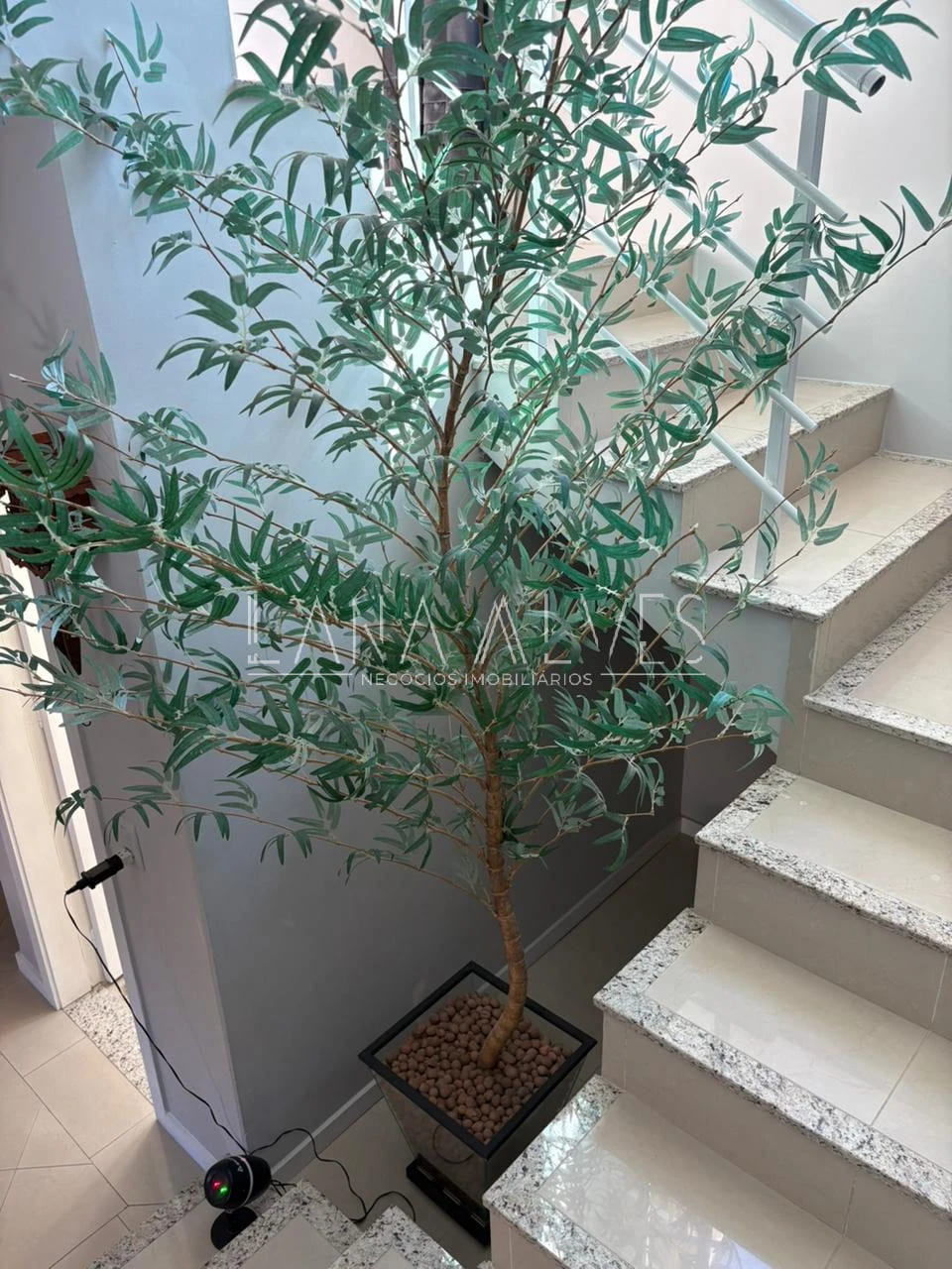 Casa, 2 quartos, 240 m² - Foto 7