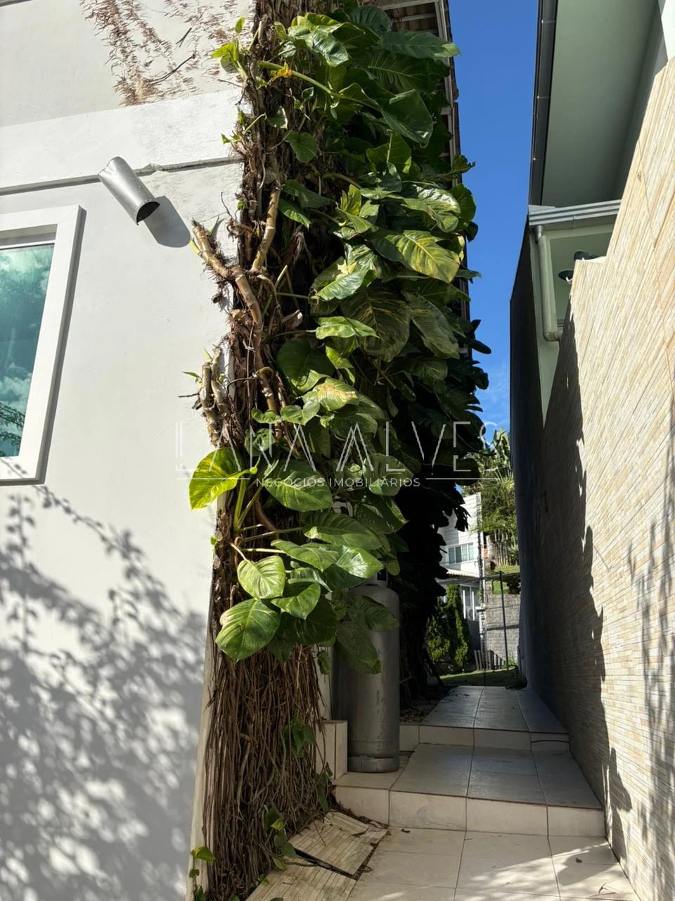 Casa, 2 quartos, 240 m² - Foto 26